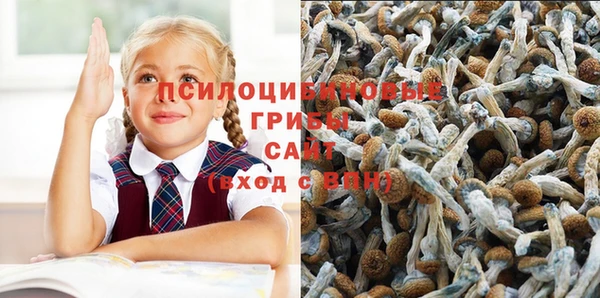 альфа пвп Аша