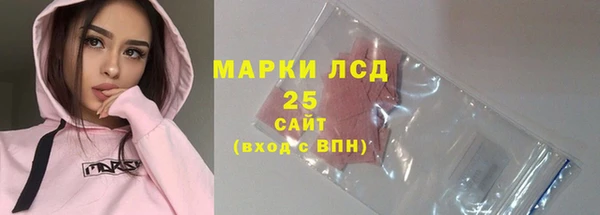 индика Белокуриха