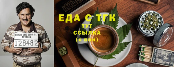 индика Белокуриха