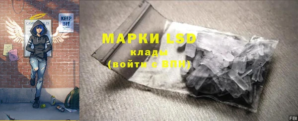 индика Белокуриха