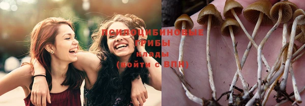 прущая мука Беломорск