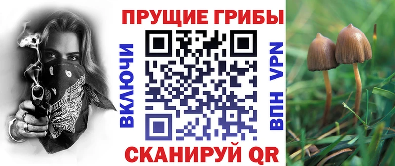 Галлюциногенные грибы мицелий  Болохово 